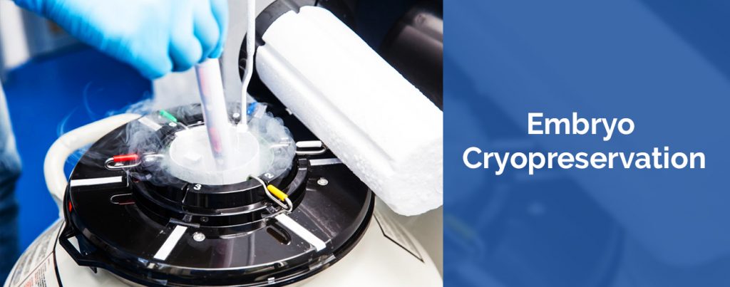 Embryo-Cryopreservation